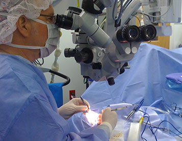 Dr. Malone Plastic Surgery of the Eye